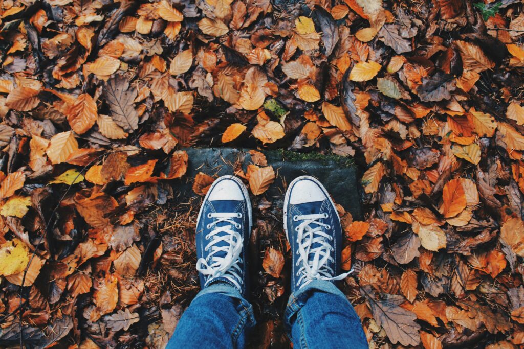 Pair of sneakers standing on colorful autumn leaves in a park, showcasing the beauty of fall.