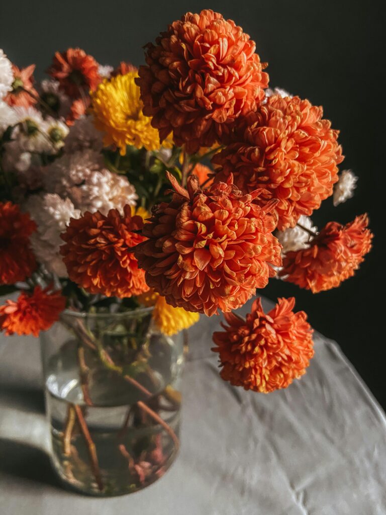 A vibrant arrangement of chrysanthemum flowers in a clear glass vase on a table indoors. Perfect for decor.