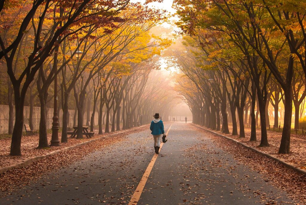 slow living in november road, pavement, woman, nature, trees, walk, girl, fog, walking, roadway, avenue, mist, leaves, foliage, autumn, fall, park